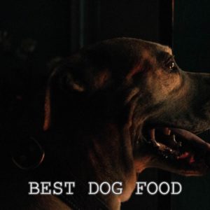 Healthiest Best Dog Food