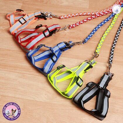 Luminous Harness For Dogs