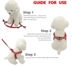 dog harness guide