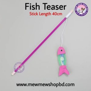 Fish Teaser Toy For Cat (1)