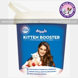 kitten milk replacer in bangladesh