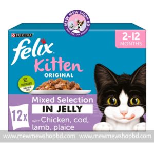 Felix Kitten food