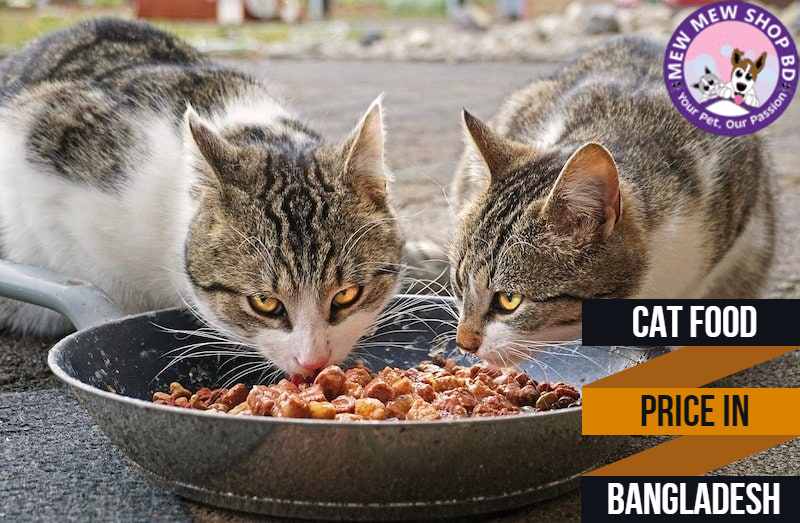 Cat Food Price In BD
