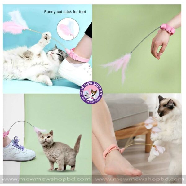 Spring Teaser  Interactive Feather Toy with Collar for Cat